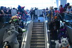 DSC_6122.JPG